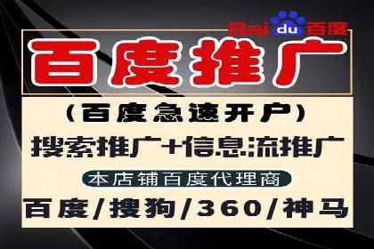 百度广告推广实战案例解析